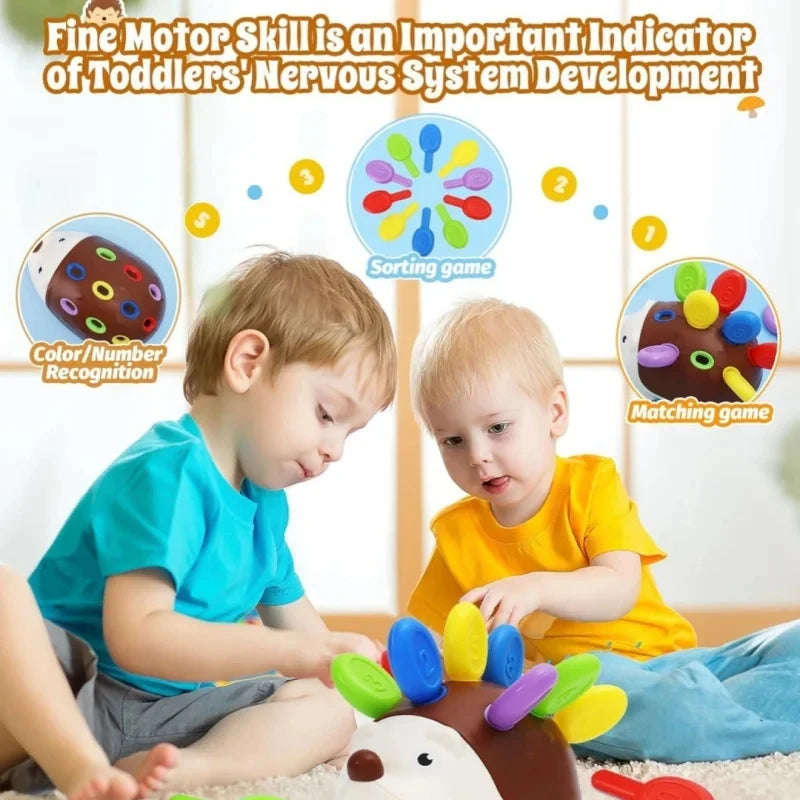 Montessori Sensory Hedgehog Toy — Fine Motor Skills for Ages 1–4